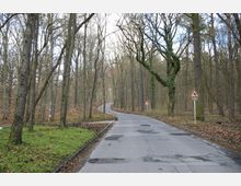 Straße in einem Waldgebiet mit kahlen Bäumen im Winter; die asphaltierte Fahrbahn ist von Schlaglöchern gezeichnet und von Verkehrszeichen gesäumt, die auf Kurven hinweisen. Auf der linken Straßenseite ist ein schmaler Grünstreifen sichtbar.