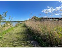 Ein schmaler, grasbedeckter Weg führt entlang eines Schilfgürtels an einem See. Rechts des Weges sind dichte Schilfrohre zu sehen, während links Wasser und einige Büsche im Vordergrund erkennbar sind; im Hintergrund steht eine flache Holzkonstruktion.