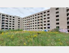 Verlassener mehrstöckiger Betonbau mit zahlreichen leeren Fenstern und Graffiti an den Wänden. Im Vordergrund befindet sich eine verwilderte Wiese mit gelben Wildblumen.