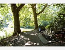 Ein schattiger Weg in einem Park mit großen Bäumen, deren Blätter das Sonnenlicht filtern. Neben dem Weg stehen eine Holzbank und ein Mülleimer, im Hintergrund ist ein kleiner See sichtbar.