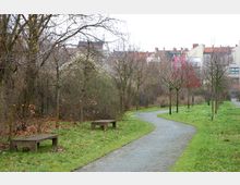 Parklandschaft mit einem geschwungenen Kiesweg, der durch eine Wiese mit jungen Bäumen führt. Im Hintergrund sind Büsche, einige Holzbänke und Wohngebäude sichtbar.