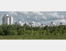 Wohngebiet mit modernen Hochhäusern im Hintergrund, umgeben von einer dichten Baumreihe und einer grünen Wiese im Vordergrund. Der Himmel ist bewölkt mit vereinzelten klaren Abschnitten.