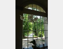 Ein großes, bogenförmiges Fenster mit weißen Sprossen bietet den Blick auf einen Park mit grünen Bäumen und einem von Sonnenlicht beschienenen Kiesweg. Im Vordergrund ist eine weiße Orchideenblüte vor dem Fenster zu sehen.