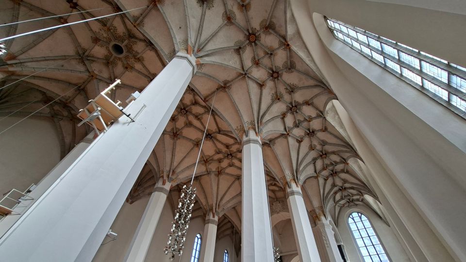 Blick nach oben in das Innere einer gotischen Kirche mit hohen weißen Pfeilern und einem reich gegliederten Kreuzrippengewölbe mit ornamentalen Schlusssteinen. Rechts fällt Licht durch große, hohe Fenster, darunter Spitzbogenfenster im Seitenschiff.