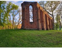 Backsteinruine eines historischen Gebäudes mit gotischen Spitzbögen, umgeben von einer Wiese und hohen Bäumen in einer parkähnlichen Landschaft bei Tageslicht.
