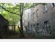 Hinterhof mit verwildertem Garten, geprägt von einem großen Baum in der Mitte und überwucherten Sträuchern, neben einem grauen, mehrstöckigen Gebäude mit verwitterter Fassade und zahlreichen Fenstern. Rechts steht eine hohe Backsteinmauer zur Begrenzung des Geländes.
