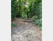 Ein Waldweg mit unbefestigtem Boden und eingebauten Holzstufen, flankiert von dichten Bäumen und Sträuchern. Im Hintergrund ist eine alte Straßenlaterne und ein Pfad, der weiter den Hügel hinaufführt, zu sehen.