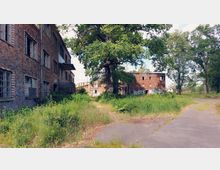 Verlassener Industriekomplex mit Backsteingebäuden, teils mit zerbrochenen Fenstern und Graffiti. Umgeben von überwucherndem Gras, Bäumen und einer asphaltierten Fläche im Vordergrund.