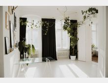 Heller, minimalistischer Wohnraum mit großen, weißen Fenstern, schwarzen Vorhängen und mehreren Zimmerpflanzen, darunter eine Monstera und andere grüne Gewächse in weißen Töpfen. Ein schlichter Glastisch steht vor einer Wand mit dekorativen Bildern; oben hängt eine moderne, goldene Hängeleuchte.