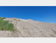 Eine karge Erdhügel-Landschaft mit spärlichem Pflanzenwuchs und vereinzelten Steinen, vor einem klaren blauen Himmel. Links am Bildrand ist etwas mehr grüne Vegetation zu erkennen.