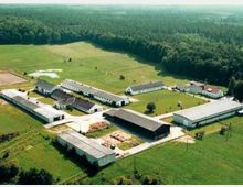 Luftaufnahme eines landwirtschaftlichen Anwesens mit mehreren weißen Gebäuden mit schwarzen oder roten Dächern, umgeben von grünen Wiesen und einem Wald im Hintergrund. Die Gebäude sind durch befestigte Wege miteinander verbunden, und einige Freiflächen sowie ein kleiner Teich sind sichtbar.