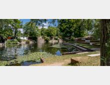 Grüne Parklandschaft mit einem kleinen See, umgeben von Bäumen und Wohnhäuschen. Im Vordergrund sind Wasserpflanzen auf der Seeoberfläche und Sitzstufen aus Stein auf einer Rasenfläche zu sehen.