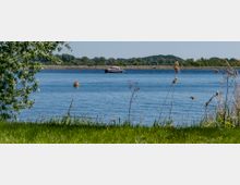 Flusslandschaft mit ruhigem Wasser, im Vordergrund eine Wiese mit hohen Gräsern und Schilf, im Hintergrund ein Motorboot und eine Reihe von Bäumen am Ufer.