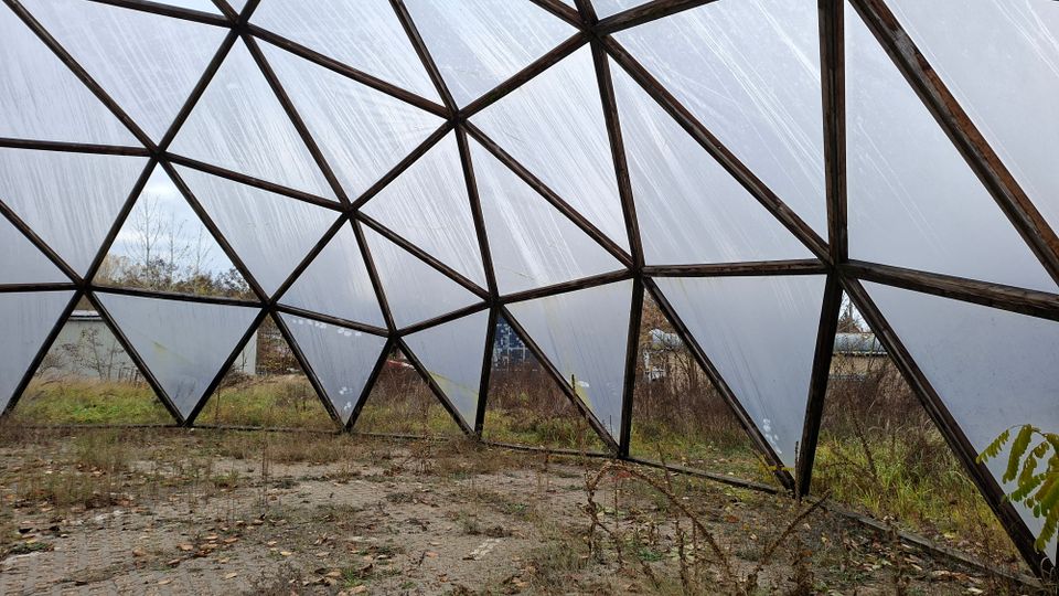 Ein verlassenes Geodät-Kuppelgewächshaus mit dreieckigen, durchscheinenden Kunststoffpaneelen auf einem Holzrahmen. Im Inneren ist der Boden von Gras und Unkraut bewachsen; im Hintergrund sind Bäume und Gebäude sichtbar.