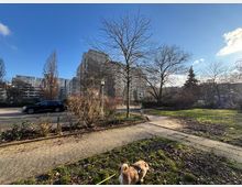 Ein städtischer Park mit einem Gehweg, kahlen Bäumen und grünen Rasenflächen im Vordergrund. Im Hintergrund sind moderne Wohngebäude und eine Straße mit geparkten und fahrenden Autos zu sehen, bei sonnigem Wetter und klarem Himmel.
