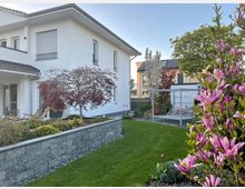 Garten neben einem modernen, weißen Einfamilienhaus mit Rasenfläche, niedriger Steinmauer und bepflanzten Beeten. Rechts stehen blühende Magnolien und weitere Zierbäume, im Hintergrund ist ein offenes Gartenpavillon mit Sitzbank und Nachbarhäusern zu sehen.