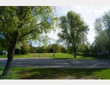 Parklandschaft mit grünem Rasen, schattenspendenden Bäumen und einem gepflasterten Weg im Vordergrund. Im Hintergrund sind weitere Bäume und eine offene Wiese erkennbar.