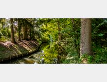 Schmaler, von Bäumen gesäumter Kanal in einem Waldgebiet mit dichtem Laub, das das Wasser teilweise beschattet. Die Umgebung ist von natürlichen Vegetationen wie Gras und Sträuchern geprägt.