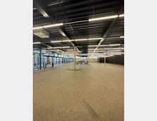 Großer, leerer Innenraum mit dunkler Decke und sichtbaren Metallträgern, modernem Beleuchtungssystem und großen Glasfenstern an einer Seite, die Tageslicht hereinlassen. Der Boden ist mit einem grauen, strukturierten Belag versehen, und vereinzelt stehen Säulen zur Unterstützung der Decke.