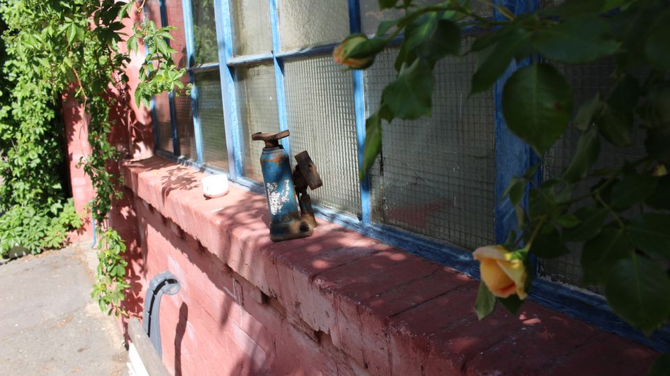 Außenansicht einer roten Backsteinwand mit langem Fensterband aus blau gestrichenen Holzrahmen und strukturiertem Glas. Auf der Fensterbank stehen ein kleiner Behälter und ein altes blaues Metallgerät, umgeben von dichtem Grün und Rosenblättern im Vordergrund.