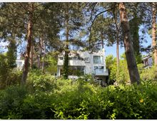 Modernes, weißes Mehrfamilienhaus mit großen Fensterfronten und Glasbalkonen, eingebettet in einen dichten, grünen Garten. Hohe Kiefern und üppige Sträucher umgeben das Gebäude und prägen die waldartige Umgebung.