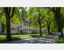 Eine von Bäumen gesäumte Kopfsteinpflasterstraße mit mehrstöckigen Wohnhäusern aus beige-gestrichenem Putz und roten Ziegeldächern im Hintergrund. Am Straßenrand sind geparkte Autos sowie Fahrräder zu sehen, während die Bäume Schatten auf die Umgebung werfen.