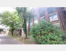 Backsteinfassade eines alten Industriegebäudes mit großen Glasfenstern, umgeben von Bäumen, Sträuchern und einem gepflasterten Weg. Ein großer Baum mit Efeubewuchs steht nahe der Gebäudewand, im Hintergrund sind weitere Gewerbebauten zu erkennen.