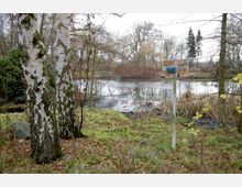Ein kleiner Teich in einer natürlichen Umgebung mit kahlen Bäumen und Schilf am Ufer. Im Vordergrund stehen zwei Birken, daneben ein bemaltes Schild, das teilweise unleserlich ist.