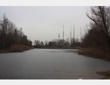 Gefrorener Teich umgeben von kahlen Bäumen und Schilf, mit mehreren hohen Sendemasten im Hintergrund unter einem grauen Himmel.