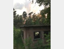 Ein verlassenes, verwittertes Gebäude im Wald mit zerbrochenen Fensterscheiben und offenen Fensterrahmen. Im Hintergrund stehen hohe Bäume, durch die das Licht des Sonnenuntergangs scheint.