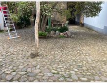 Kopfsteinpflasterhof mit einem großen Baum in der Mitte, umgeben von Grünpflanzen und einem niedrigen Steingarten. Im Hintergrund sind eine Backsteinmauer, eine Leiter und ein überdachter Durchgang erkennbar, während an der Seite ein hölzernes Dekoelement steht.