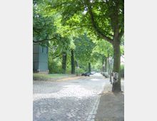 Gepflasterte Straße in einer von Bäumen gesäumten Wohngegend mit parkenden Autos am Straßenrand; links ein kleines, grünes Gebäude und eine niedrige Steinmauer.