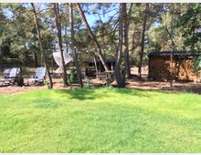 Ein Garten mit einer grünen Rasenfläche, umgeben von hohen Kiefern. Im Hintergrund befinden sich eine Sitzgarnitur mit Liegestühlen, eine Schaukel, eine Lichterkette sowie ein Holzstapel unter einem Dach.