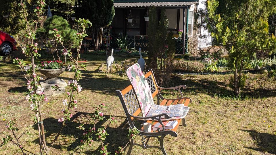 Garten mit Rasenfläche, Gartenbank im Vordergrund und blühendem jungen Baum; im Hintergrund steht ein kleines Haus mit überdachter Veranda, umgeben von hohen Nadelbäumen und Sträuchern.