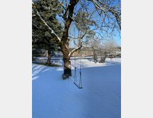 Verschneiter Garten mit einem großen Baum im Vordergrund, an dessen Ast eine einfache Seilschaukel hängt. Im Hintergrund sind ein Holzzaun, Nadelbäume und eine winterliche Landschaft unter blauem Himmel zu sehen.