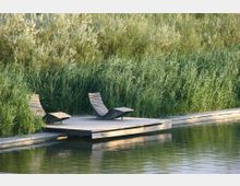 Holzsteg mit zwei geschwungenen Holzliegen am Rand eines natürlichen Gewässers, umgeben von dichtem hohen Schilf und Vegetation.