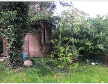 Holzgartenhaus mit Efeu bewachsen, umgeben von dichter Vegetation mit Sträuchern und Bäumen. Im Vordergrund befinden sich eine Wiese mit Löwenzahn und einzelne Gartenaccessoires wie eine silberne Kugel.