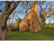 Backsteinruine einer alten Kirche oder Kapelle in einer grünen Parklandschaft, umgeben von Laubbäumen im Frühling. Die Ruine zeigt gotische Spitzbogenfenster und steht auf einem von Gras bewachsenen Hügel.