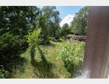 Blick aus einem Fenster auf ein bewachsenes Grundstück mit hohem Gras, Sträuchern und vielen Bäumen am Waldrand. Rechts ist ein langes Nebengebäude mit rotem Dach und gemauerter Wand teilweise zu sehen.