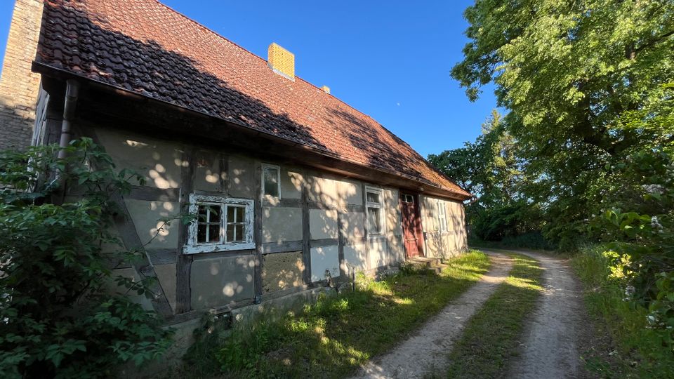 Altes Fachwerkhaus mit großem, rot gedecktem Ziegeldach, verwitterten Fenstern und Eingangstür an einer ländlichen Sandpiste. Rechts säumen hohe Laubbäume und dichter Bewuchs den Weg unter blauem Himmel.