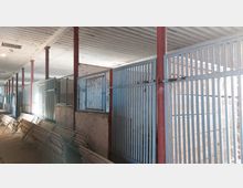 Innenansicht eines Stalls mit mehreren Pferdeboxen aus Metallgittern. Rechts rote Metallstützpfeiler und links zusammengeklappte Bänke, unter einer weißen Decke mit Längsrillen.