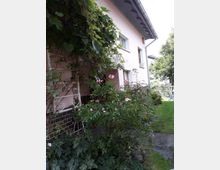 Ein zweigeschossiges Haus mit rosa Fassade und kleinen weißen Fenstern, umgeben von einem Garten mit blühenden Rosensträuchern, einem Weinlaub rankenden Spalier und einer kleinen Rasenfläche.