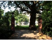 Eingang zu einem Park mit zwei Laternen auf roten Backsteinsäulen, flankiert von dichten Bäumen und Sträuchern; im Hintergrund eine große grüne Rasenfläche und städtische Gebäude.