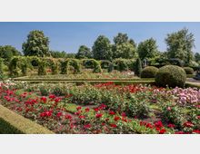Ein sorgfältig angelegter Rosengarten mit Beeten voller roter, rosa und weißen Rosen, umgeben von niedrigen Buchsbaumhecken. Im Hintergrund sind grüne Laubgärten, gewölbte Rankbögen aus Metall und geschnittene Büsche zu sehen.