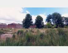 Ein weitläufiges Gelände mit hohem Gras und vereinzelter Vegetation, im Hintergrund drei symmetrische, historische Backsteingebäude mit zahlreichen Fenstern. Mehrere große Bäume stehen zwischen den Gebäuden, die bei sonnigem Wetter unter einem bewölkten Himmel fotografiert wurden.