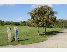 Grüne Parklandschaft mit einer Wiese, auf der zwei bemalte Steinsäulen stehen, daneben ein kleiner Baum. Ein asphaltierter Weg führt durch den Park, im Hintergrund sind vereinzelt Spaziergänger und Bäume zu sehen.