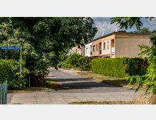 Wohnstraße mit Reihenhäusern auf der rechten Seite, umgeben von Gärten und Hecken. Im Vordergrund befinden sich ein Gehweg, ein Straßenschild mit der Aufschrift „Walther-Rathenau-Straße“ und üppige Bäume.