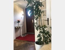 Ein Eingangsbereich mit Holztür und ovalem Fenster, rotem Teppich und Parkettboden. Rechts steht eine große Zimmerpflanze in einem weißen Topf, links ein kleiner, verzierter Tisch mit einer Blumenvase.