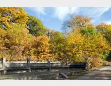 Herbstlandschaft mit einer steinernen Sitzbank im Vordergrund und bunt gefärbten Laubbäumen im Hintergrund. Ein kleiner Weg führt rechts daran vorbei, und darüber ist ein wolkenloser blauer Himmel zu sehen.