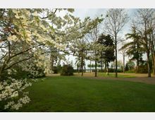 Parklandschaft mit grüner Rasenfläche, blühenden Bäumen mit weißen Blüten im Vordergrund und vereinzelten Baumreihen im Hintergrund. Ein gepflasterter Weg sowie eine dekorative Steinvase ergänzen die Szenerie.
